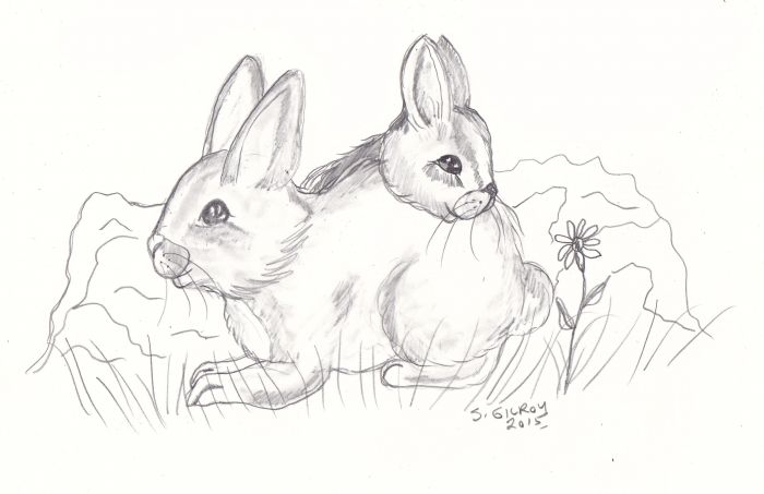 Bunny Snuggles by Sally Gilroy